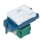 cat6サンプル画像