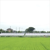 太陽光発電設置工事 長生郡 49.5kw（有限会社シーエフ）