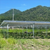 太陽光発電設置工事 愛知県 82.5kw（株式会社はまでん）