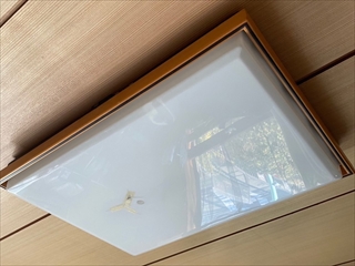 増渕電気 家庭用照明複数交換工事5