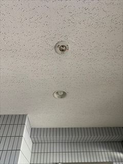 集合住宅用照明器具交換工事5