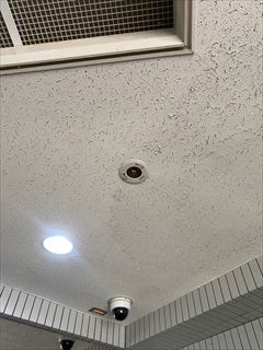 集合住宅用照明器具交換工事7