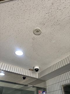 集合住宅用照明器具交換工事8