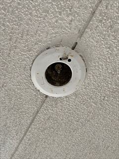 マンション用非常照明器具交換工事3