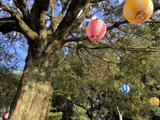 茨城県守谷市　お祭り電源工事