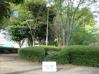 茨城県守谷市　公園灯交換工事