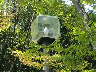 茨城県守谷市　公園灯交換工事