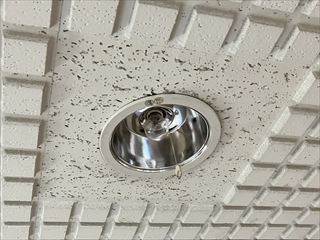 千葉県柏市　マンション共用非常灯交換工事